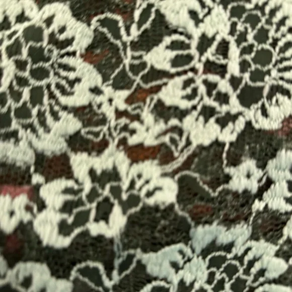 Anthropologie Dolan Green Lace Long Sleeve Ruffle Collar Puff SleeveTop Sz Small - Picture 9 of 12